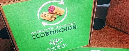 Reciclagem de rolhas em França reverte para a Luta Contra o Cancro