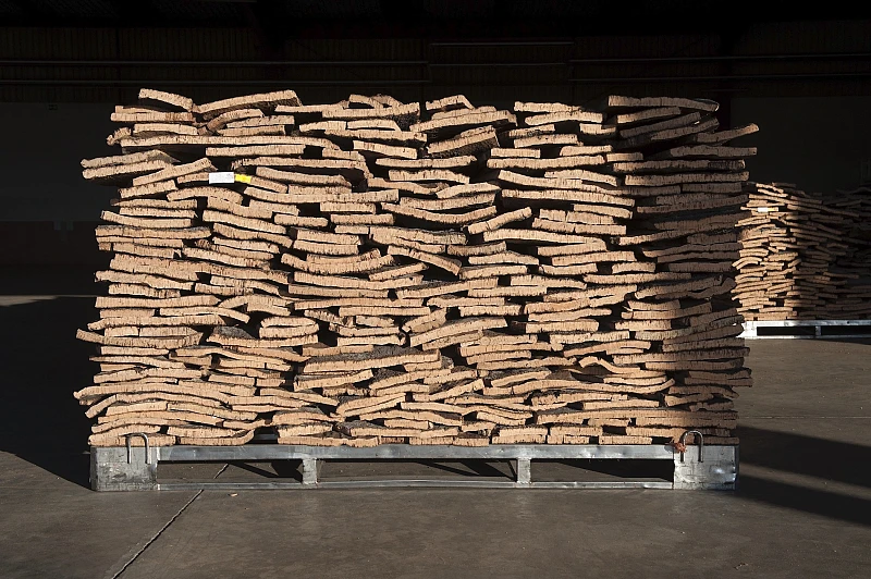 After boiling, the planks are too damp to be processed, and therefore are again stacked for stabilization in an area with good ventilation. After two days, they are ready to be processed.