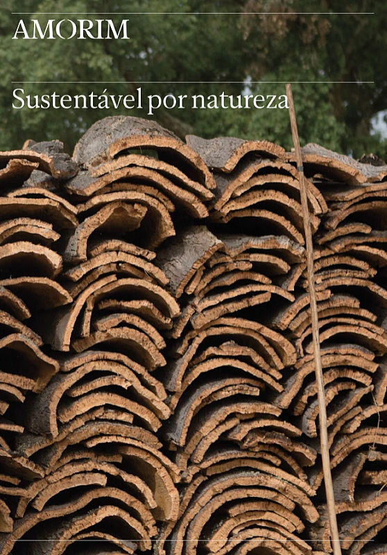 Factsheet Sustentabilidade 2022