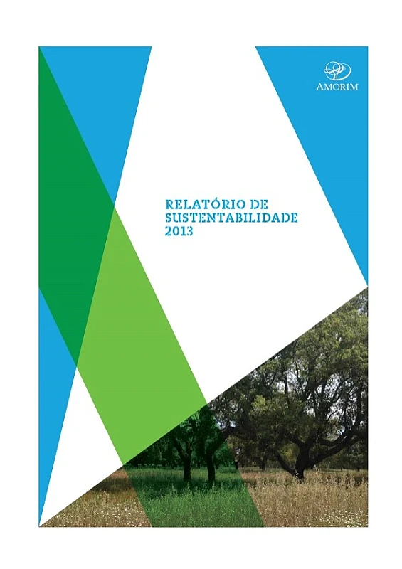 Relatório de Sustentabilidade 2013